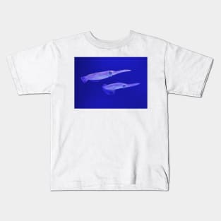 Monterey Bay Study 12 Kids T-Shirt